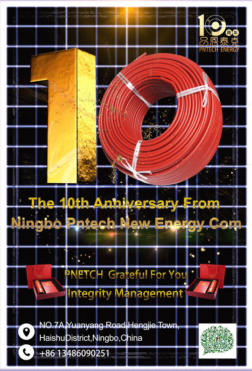 Latest company news about Peringatan 10 tahun NIingbo PNtech